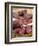 Wild Boar Sausages-null-Framed Photographic Print