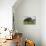 Wild Boar (Sus Scrofa), Captive, United Kingdom, Europe-Ann and Steve Toon-Photographic Print displayed on a wall