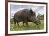 Wild Boar (Sus Scrofa), Captive, United Kingdom, Europe-Ann and Steve Toon-Framed Photographic Print