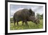 Wild Boar (Sus Scrofa), Captive, United Kingdom, Europe-Ann and Steve Toon-Framed Photographic Print