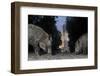 Wild Boar (Sus Scrofa) Sow-Florian Mallers-Framed Premium Photographic Print