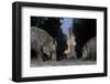 Wild Boar (Sus Scrofa) Sow-Florian Mallers-Framed Premium Photographic Print