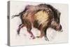 Wild Boar Trotting, 1999-Mark Adlington-Stretched Canvas
