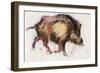 Wild Boar Trotting, 1999-Mark Adlington-Framed Giclee Print