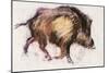 Wild Boar Trotting, 1999-Mark Adlington-Mounted Giclee Print