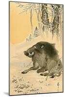 Wild Boar-Koson Ohara-Mounted Premium Giclee Print