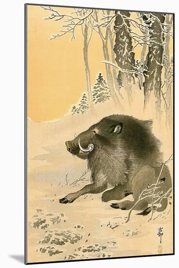 Wild Boar-Koson Ohara-Mounted Premium Giclee Print