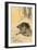 Wild Boar-Koson Ohara-Framed Giclee Print