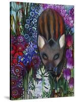 Wild Boar-Oxana Zaika-Stretched Canvas