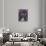 Wild Boar-Oxana Zaika-Stretched Canvas displayed on a wall