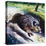 Wild Boar-null-Stretched Canvas