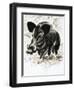 Wild Boar-English School-Framed Giclee Print