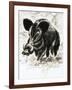 Wild Boar-English School-Framed Giclee Print