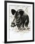 Wild Boar-English School-Framed Giclee Print