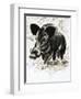 Wild Boar-English School-Framed Premium Giclee Print