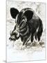 Wild Boar-English School-Mounted Premium Giclee Print