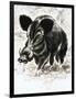 Wild Boar-English School-Framed Premium Giclee Print