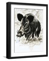 Wild Boar-English School-Framed Giclee Print