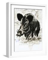 Wild Boar-English School-Framed Giclee Print