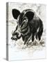 Wild Boar-English School-Stretched Canvas