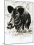 Wild Boar-English School-Mounted Giclee Print