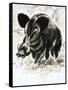 Wild Boar-English School-Framed Stretched Canvas