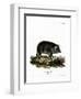 Wild Boar-null-Framed Premium Giclee Print