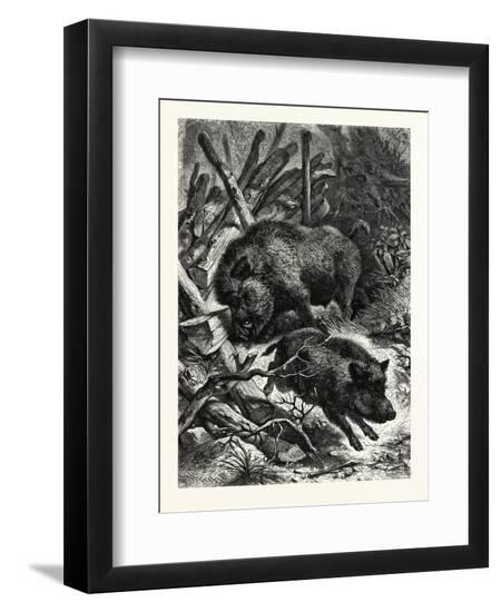 Premium Giclee Print, , large