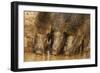 Wild Boars Drinking Water, Tadoba Andheri Tiger Reserve, Tatr, India-Jagdeep Rajput-Framed Photographic Print