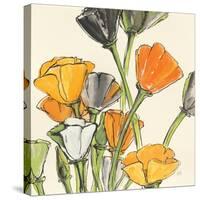 Wild Bouquet II-Chris Paschke-Stretched Canvas
