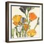 Wild Bouquet II-Chris Paschke-Framed Art Print