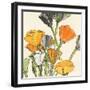 Wild Bouquet II-Chris Paschke-Framed Art Print