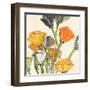 Wild Bouquet II-Chris Paschke-Framed Art Print