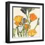 Wild Bouquet II-Chris Paschke-Framed Art Print