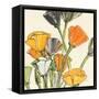 Wild Bouquet II-Chris Paschke-Framed Stretched Canvas