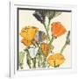 Wild Bouquet II-Chris Paschke-Framed Premium Giclee Print