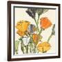 Wild Bouquet II-Chris Paschke-Framed Premium Giclee Print
