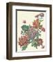 Wild Bouquet III-null-Framed Art Print