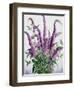 Wild Buddleia-Christopher Ryland-Framed Giclee Print