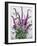 Wild Buddleia-Christopher Ryland-Framed Giclee Print