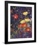 Wild Bunch II: Poppies-Karen Mathison Schmidt-Framed Art Print