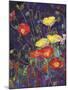 Wild Bunch II: Poppies-Karen Mathison Schmidt-Mounted Art Print