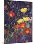 Wild Bunch II: Poppies-Karen Mathison Schmidt-Mounted Art Print