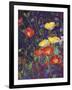 Wild Bunch II: Poppies-Karen Mathison Schmidt-Framed Art Print