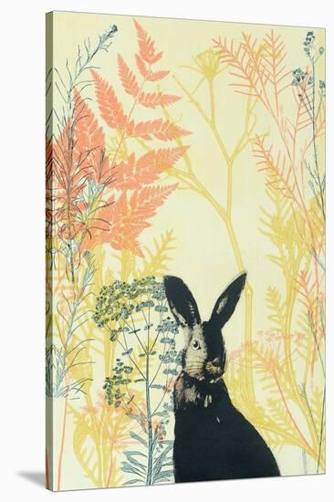 Wild Bunny in a Shiny Coral Garden-Trudy Rice-Stretched Canvas