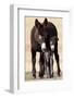 Wild Burro (Donkey) (Equus Asinus (Equus Africanus Asinus) Jenny and Foal-James Hager-Framed Photographic Print