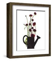 Wild Buttercups, Watering Can-Philippe Ughetto-Framed Art Print