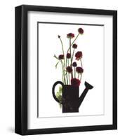 Wild Buttercups, Watering Can-Philippe Ughetto-Framed Art Print