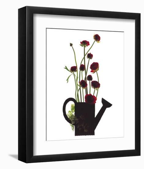 Wild Buttercups, Watering Can-Philippe Ughetto-Framed Art Print