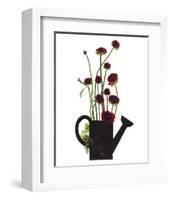 Wild Buttercups, Watering Can-Philippe Ughetto-Framed Art Print